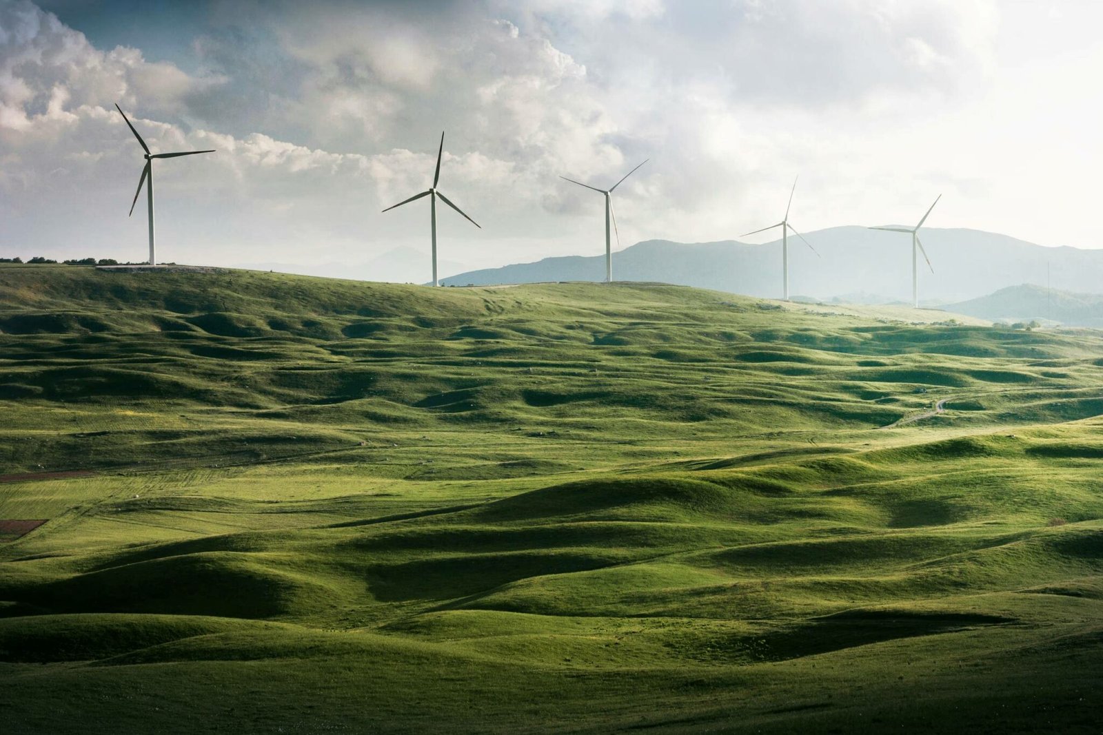 green landscape with windmills
